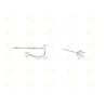 PENDIENTES ACUARIO PLATA 925MLS.
